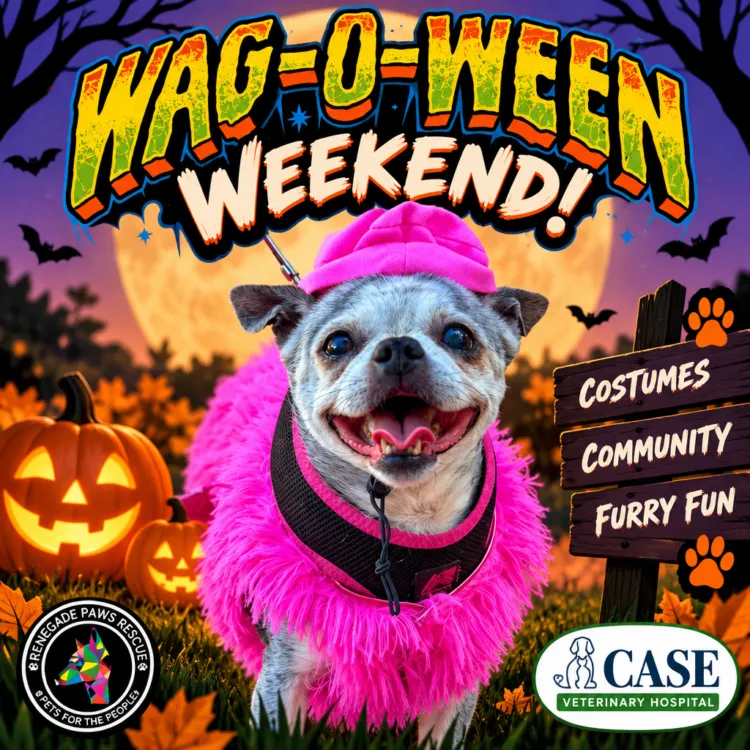 Poster for Wag-O-Ween Weekend!