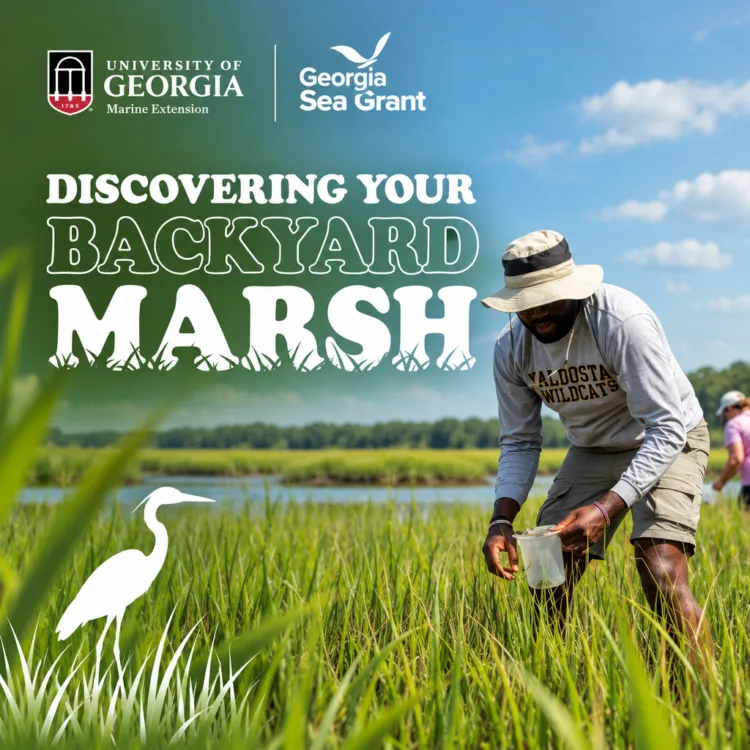 Poster for Discovering Your Backyard Marsh