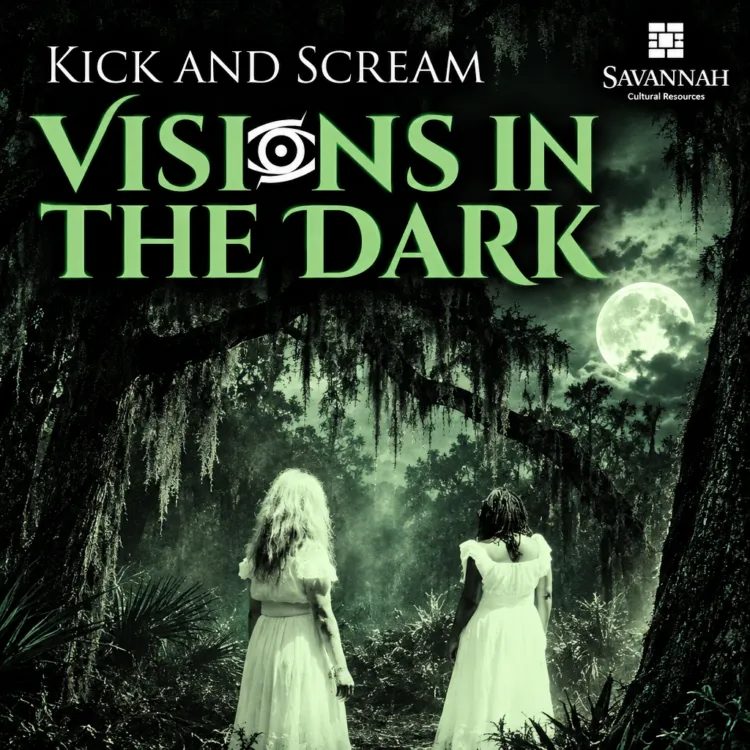 Poster for Kick And Scream: Visions In The Dark