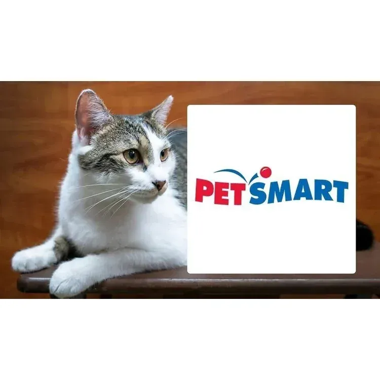 Poster for One Love Animal Rescue Adoption Event – Pooler Petsmart
