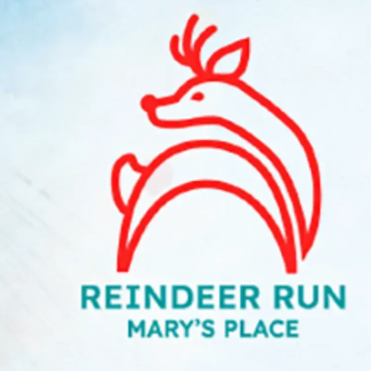 Poster for Reindeer Run